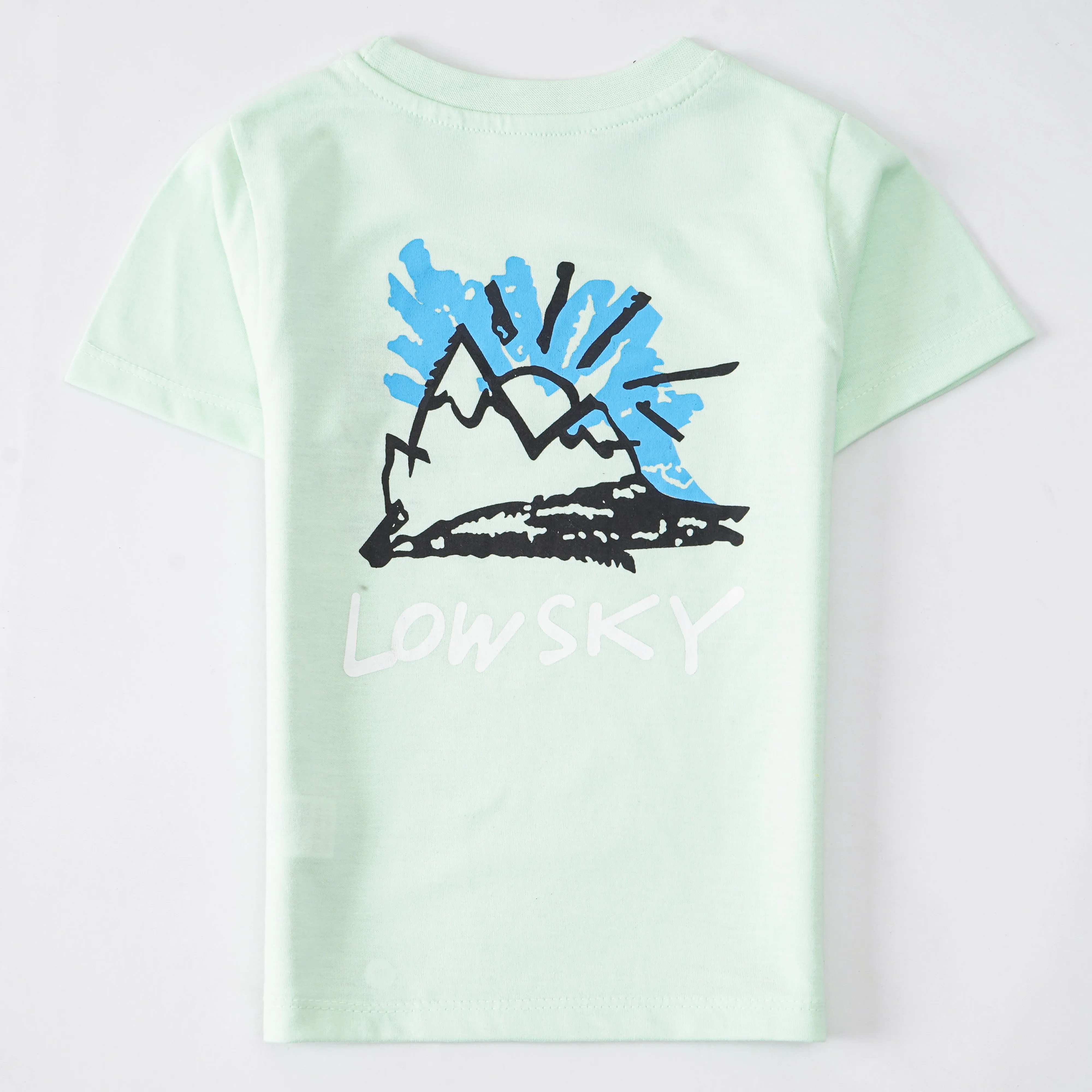Boys Half Sleeves-Printed T-Shirt