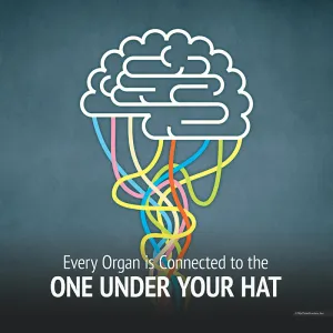 Every Organ is Connected to the One Under Your Hat