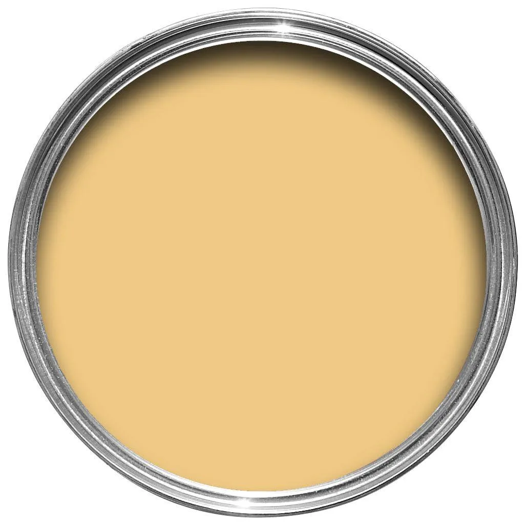 Farrow & Ball Babouche Paint 223
