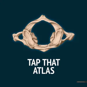 Tap That Atlas